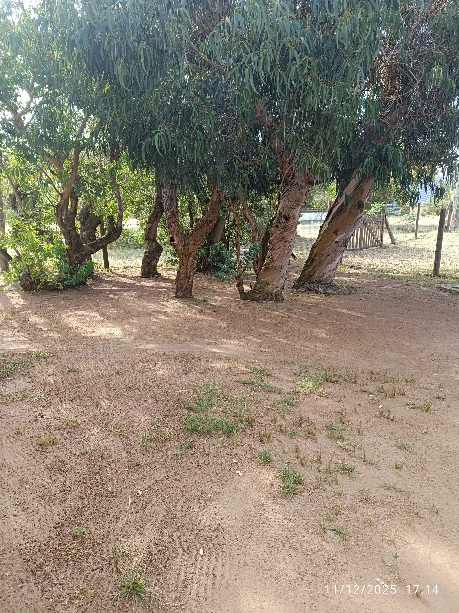 WhatsApp Image 2025-12-29 at 8.34.19 PM (1).webp